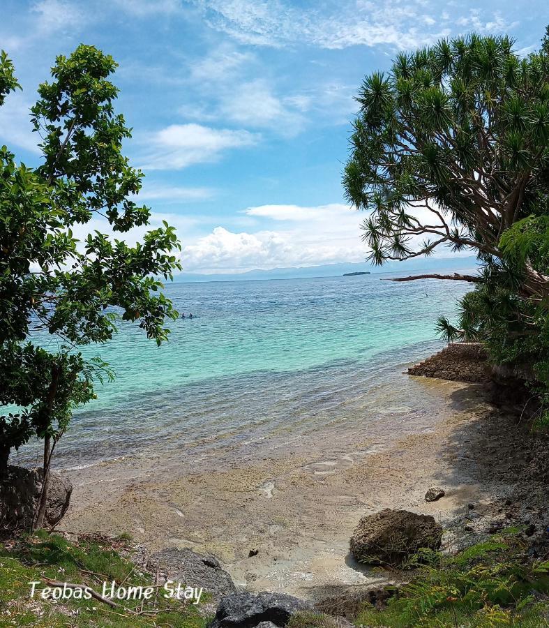 Allba'S Homestay Moalboal Εξωτερικό φωτογραφία