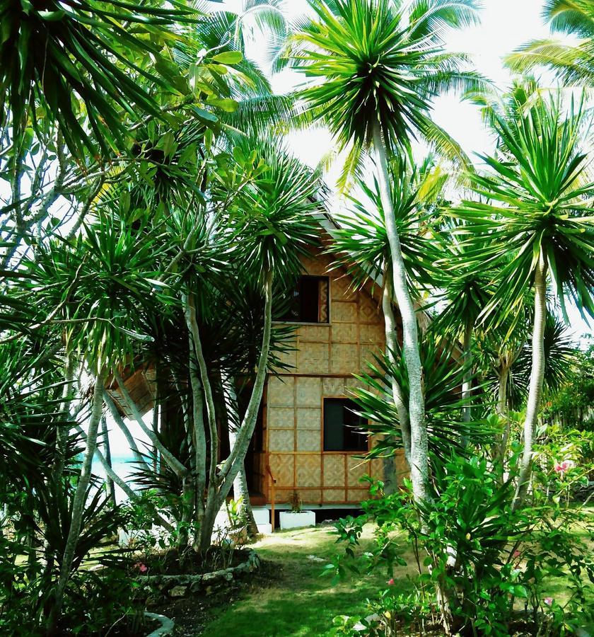 Allba'S Homestay Moalboal Εξωτερικό φωτογραφία